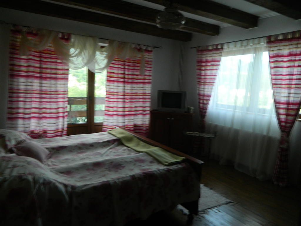 Pensiunea Romantic Sadu ห้อง รูปภาพ