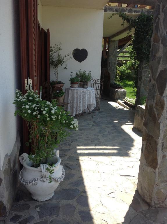 Pensiunea Romantic Sadu ภายนอก รูปภาพ