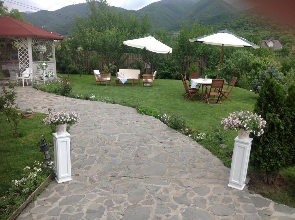 Pensiunea Romantic Sadu ภายนอก รูปภาพ